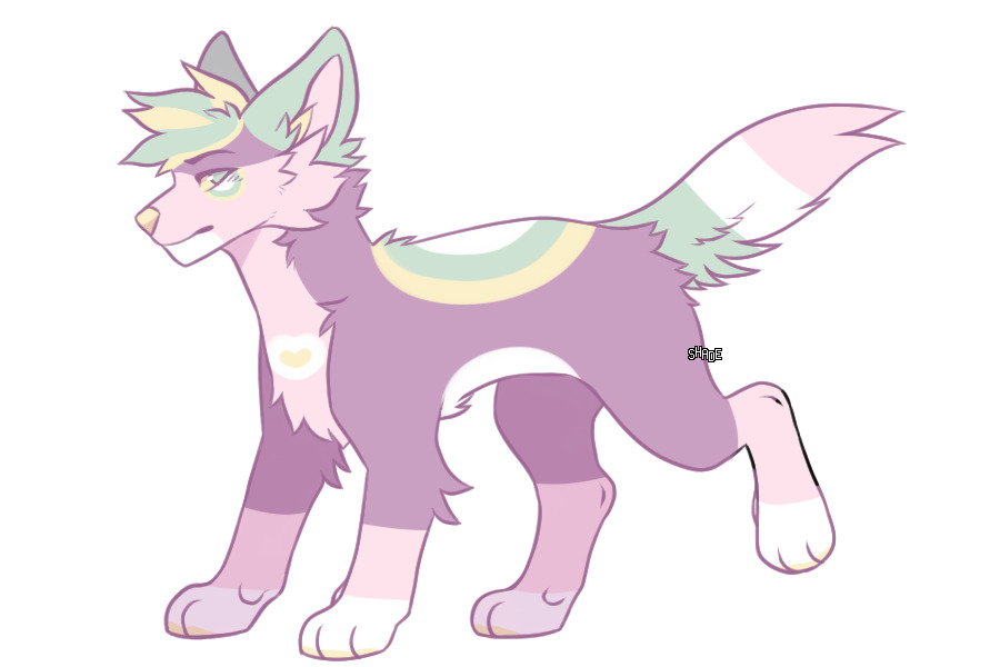 custom for Poppln