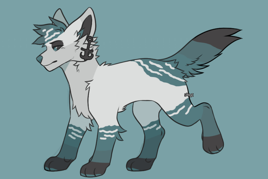 custom for poppln x2