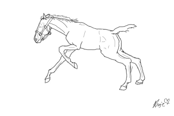 foal playing