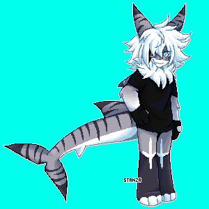 a shark