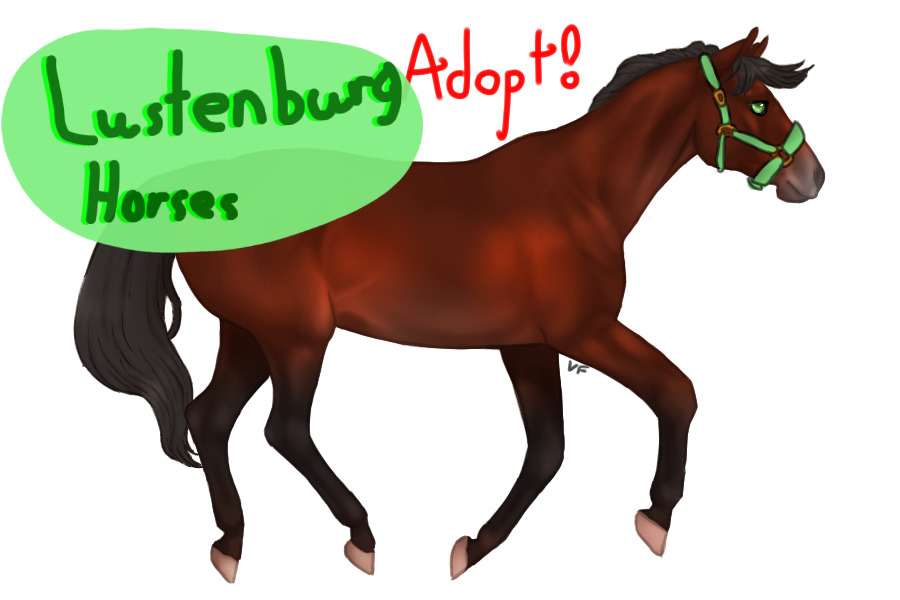Lustenburg horses