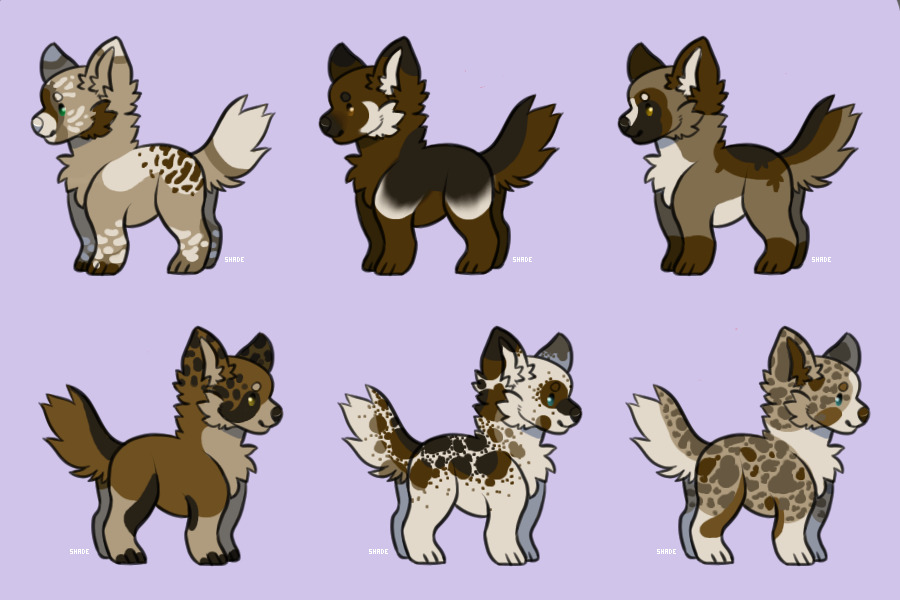 -*Pupper Adopts*- C$ only