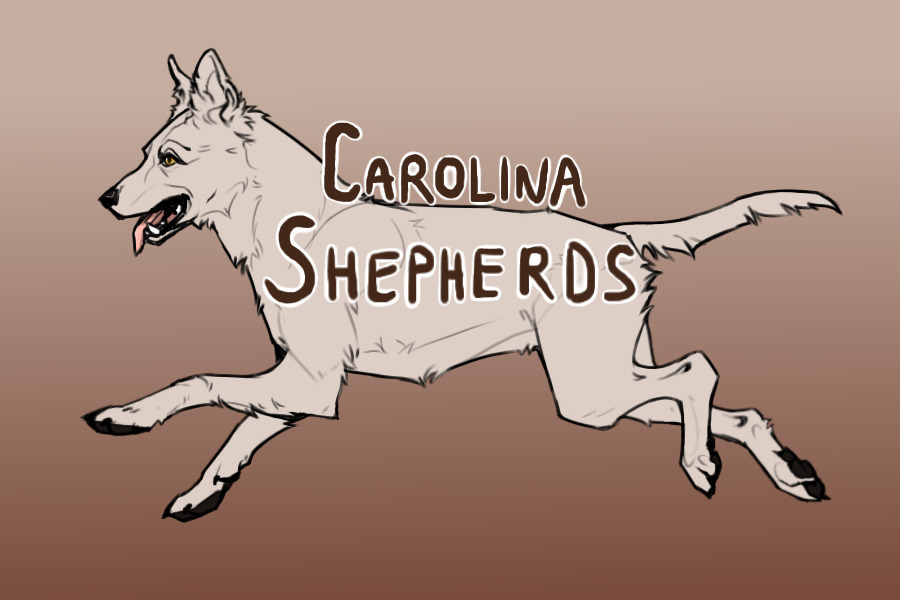 Carolina Shepherds