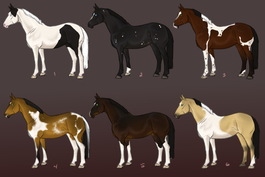 Foal coat contest entry