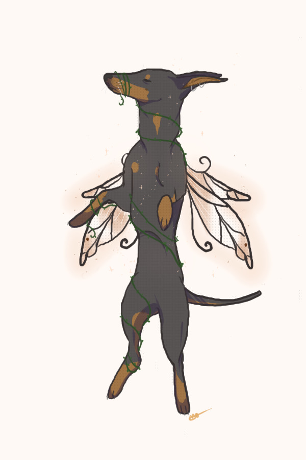 Fairy Doberman