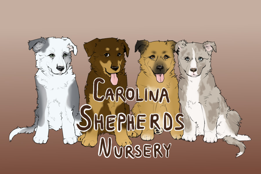 Carolina Shepherds Nursery