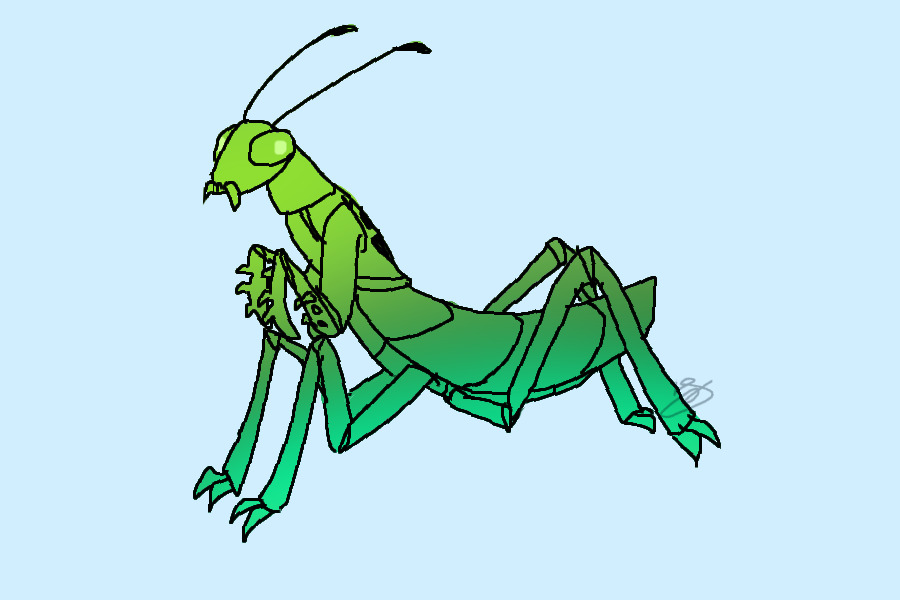 have a mantis