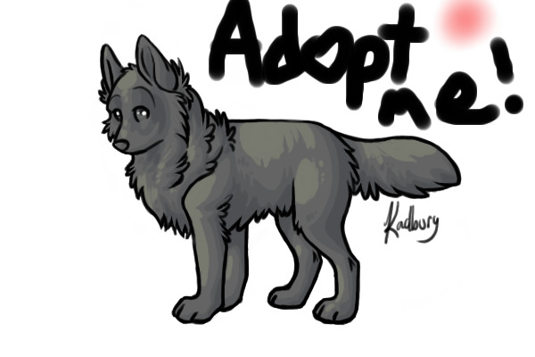 Adopt-A-Wolf! <3
