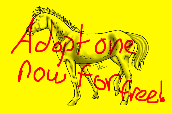 ADOPT!!!!!!!!!! THEY ARE FREE!!!