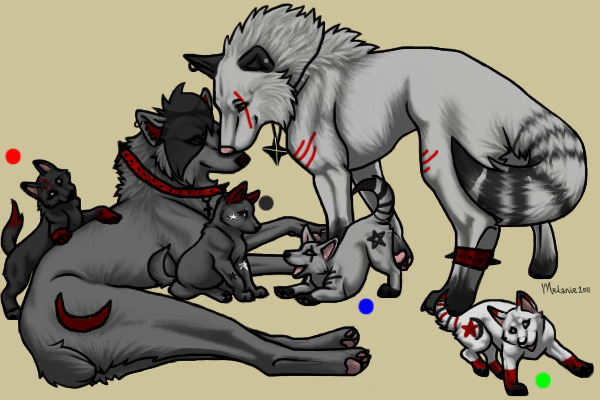 StarDust and LongClaw's 1st litter