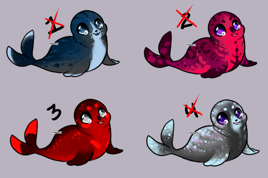 Seal Adopts 1/4