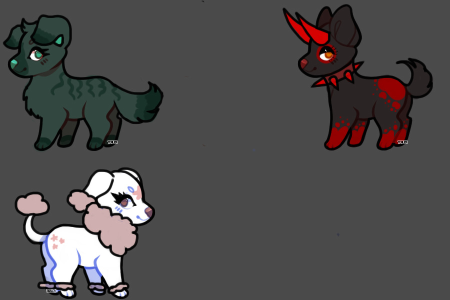 2/3 Adoptable Canines🖤