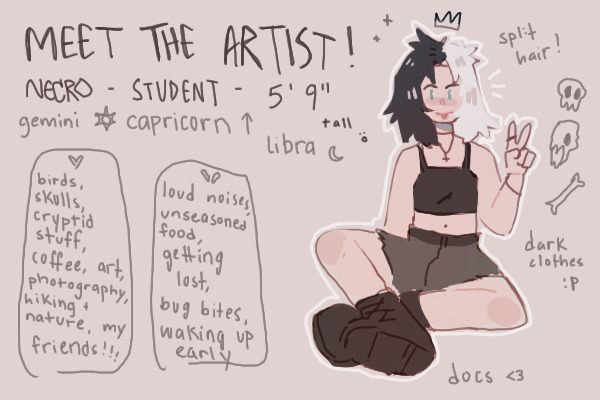 silly little meet the artist