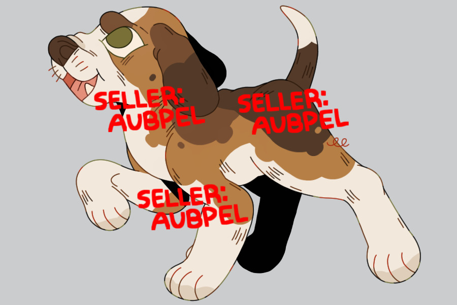 beagle adoptable