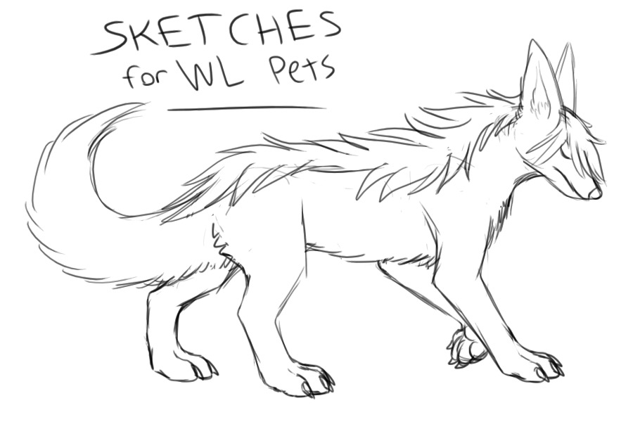 Sketches for WL Pets (Temporarily Closed)