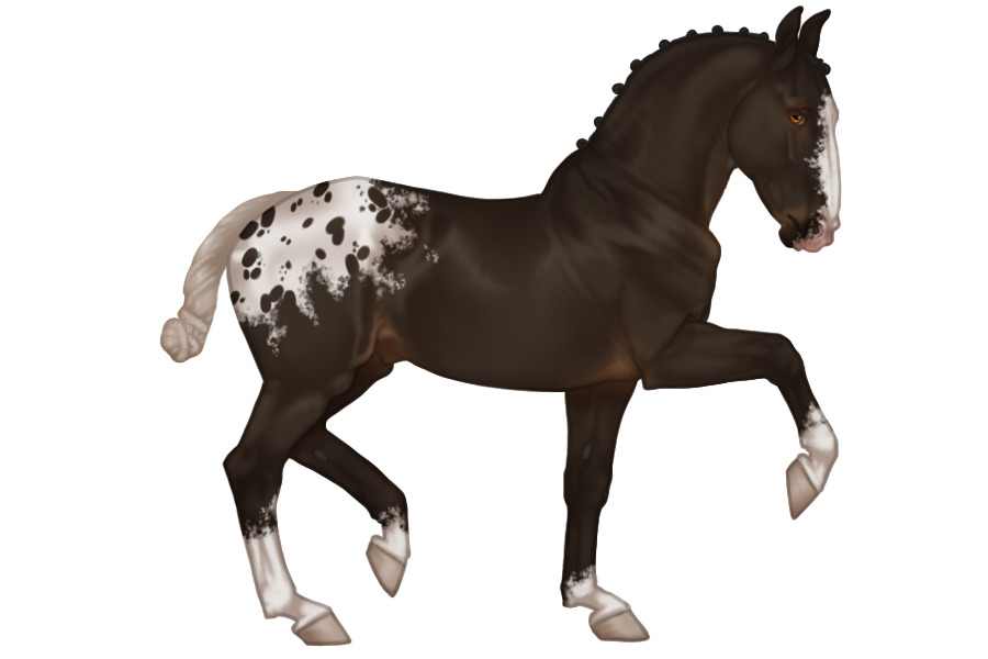 Avolire Horse #069
