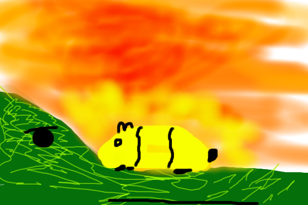 alligator and hamster