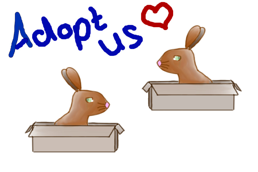 Twin-Bunny Adopts