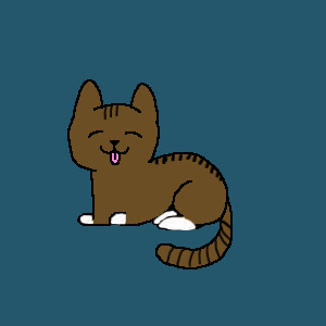 cat (used base)