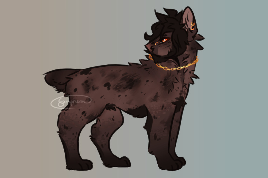 adopt 2 - separate for viewing