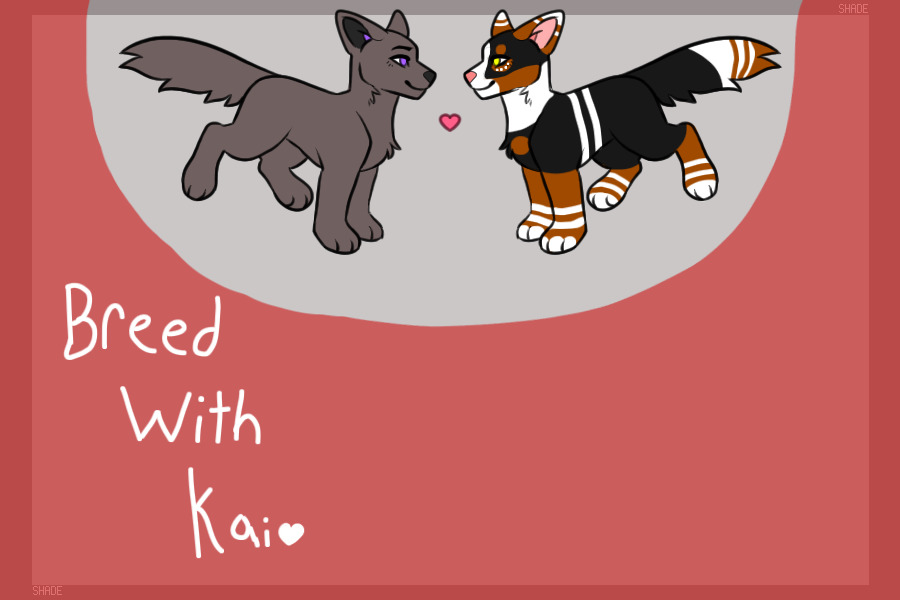 <3 Breedings with Kai <3