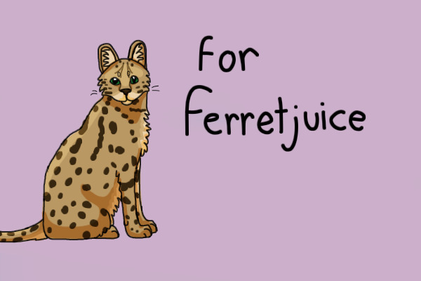 For ferretjuice