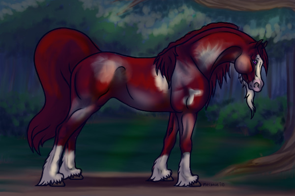 Red Beauty