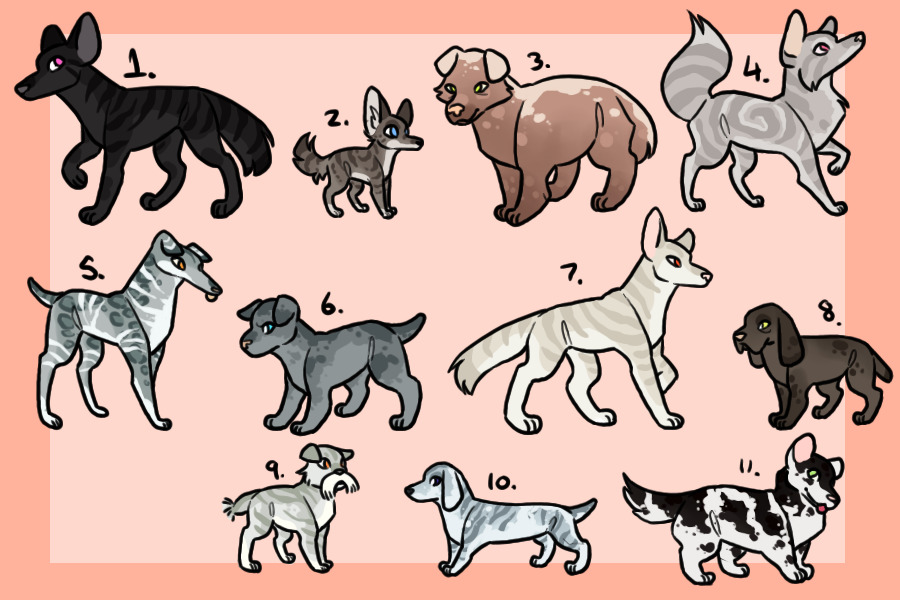 dog adopts | 3/11 open | sale
