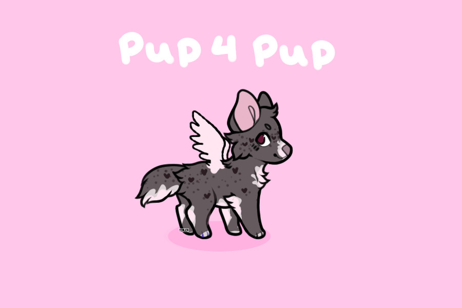 Pup 4 U