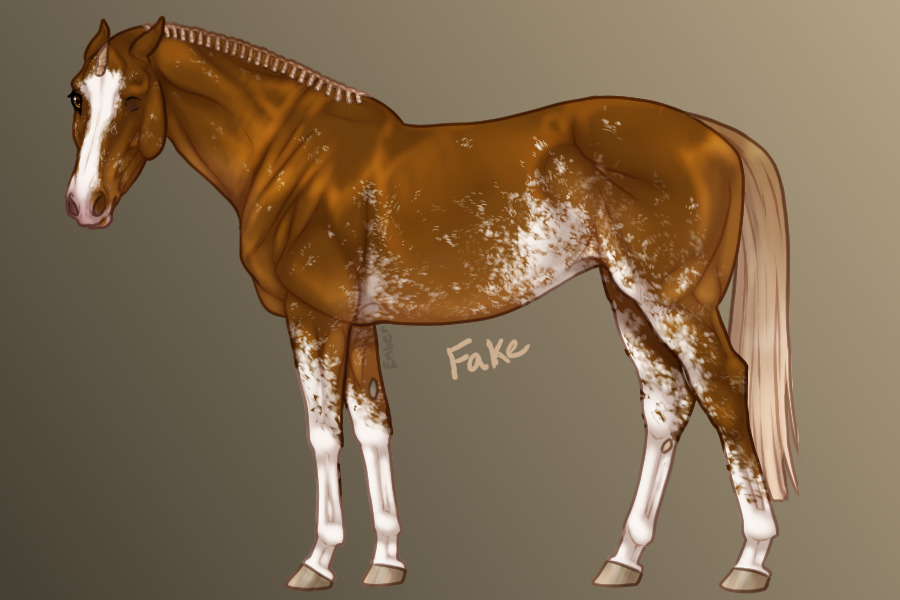 Practice: flaxen red sabino