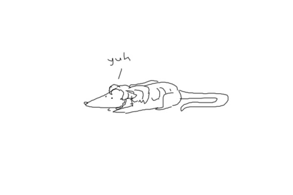 rat with a middle part