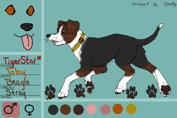 Toby the stray beagle