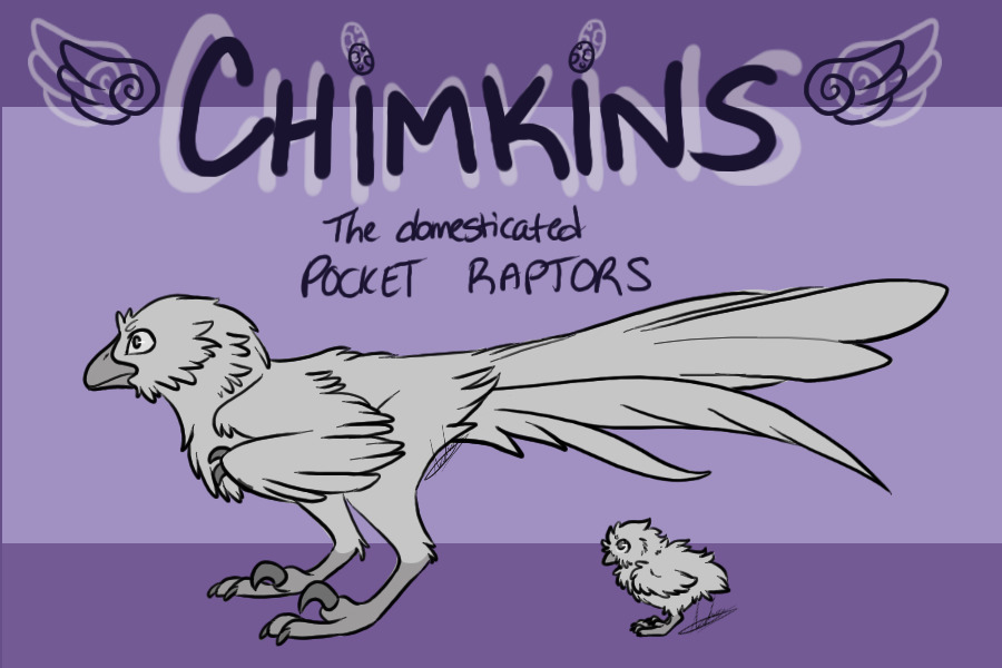 CHIMKINS - The Domesticated Pocket Raptors