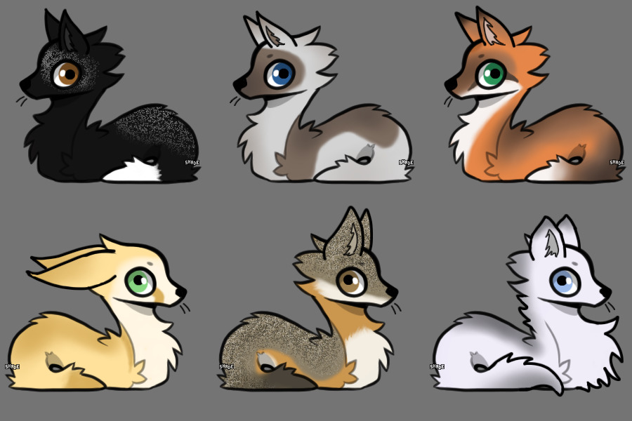 Fox adopts for sale