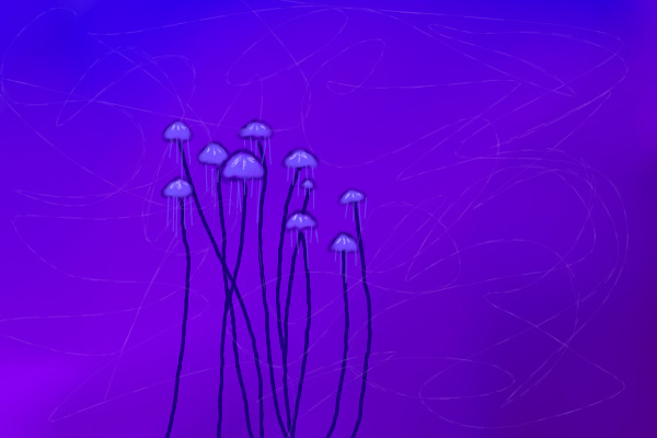 Jellyfish-like mushrooms