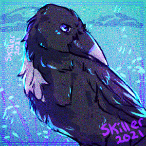 Magpies that shimmer