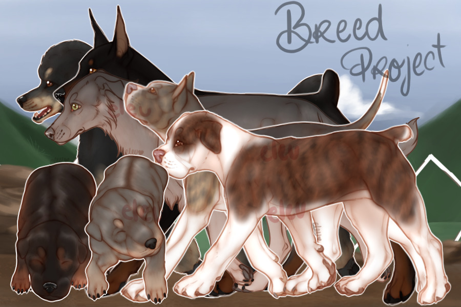 Breed Project