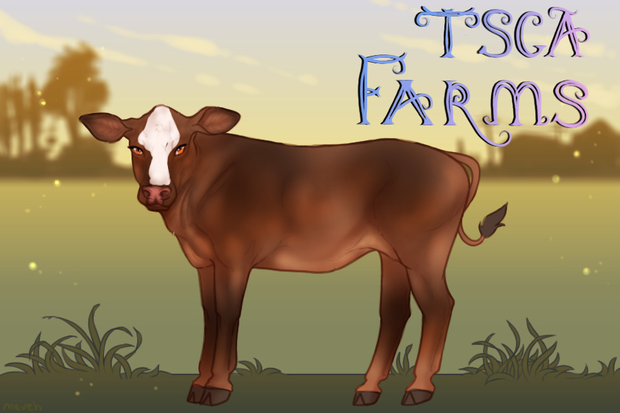 TSCA Farms - open