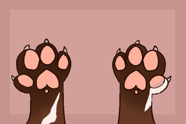 cat paws :D