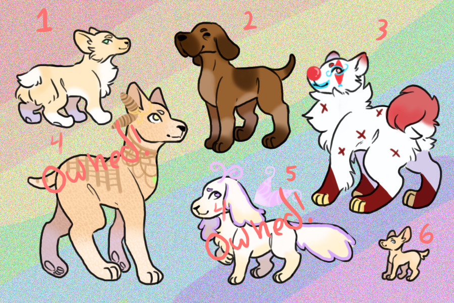 Normal + mystic dogs!