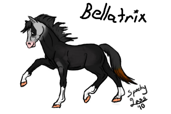 Bellatrix