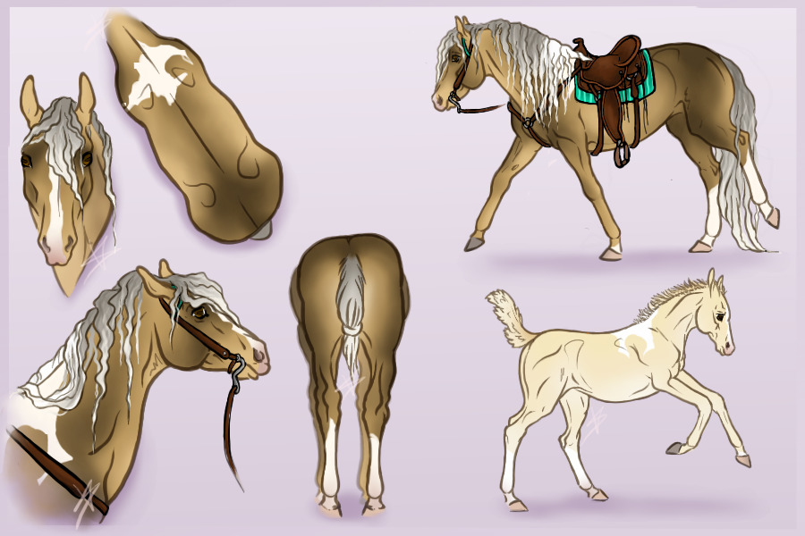 SOLD- chocolate palomino pinto