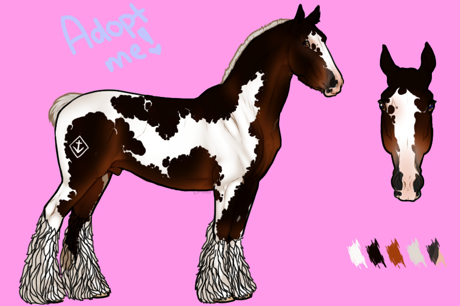 ☙⚓︎𝕊𝕡𝕠𝕥𝕥𝕖𝕕 𝔻𝕣𝕒𝕗𝕥 ℍ𝕠𝕣𝕤𝕖⚓︎❧