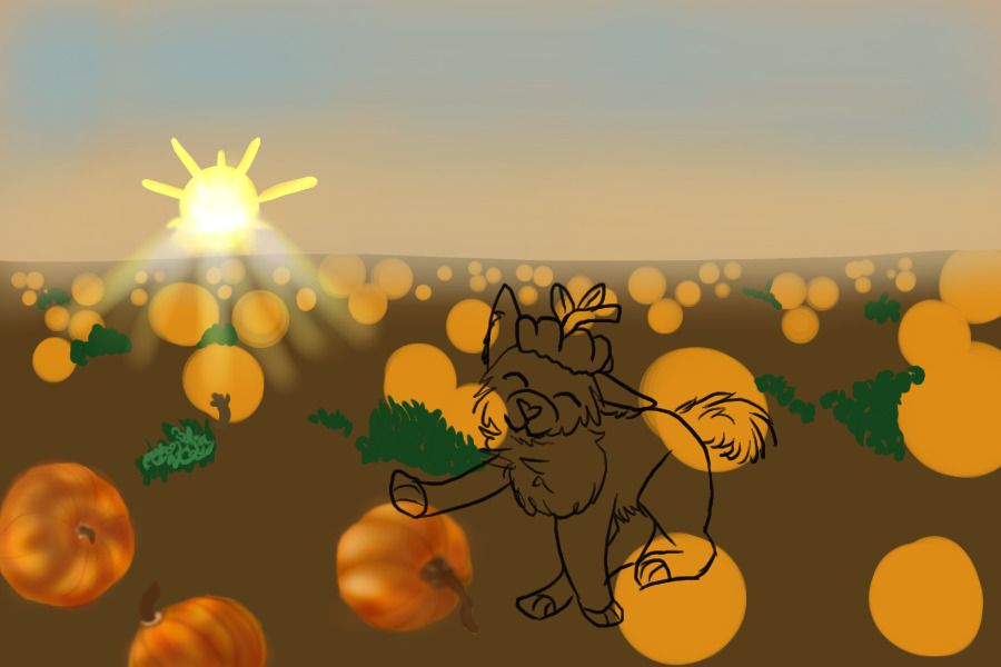 Just a day in the Pumpkin Patch