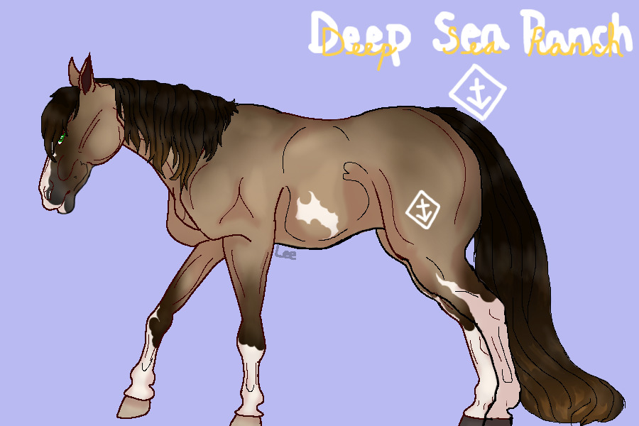 ☙⚓︎  𝒟𝑒𝑒𝓅 𝒮𝑒𝒶 𝑅𝒶𝓃𝒸𝒽  ⚓︎❧