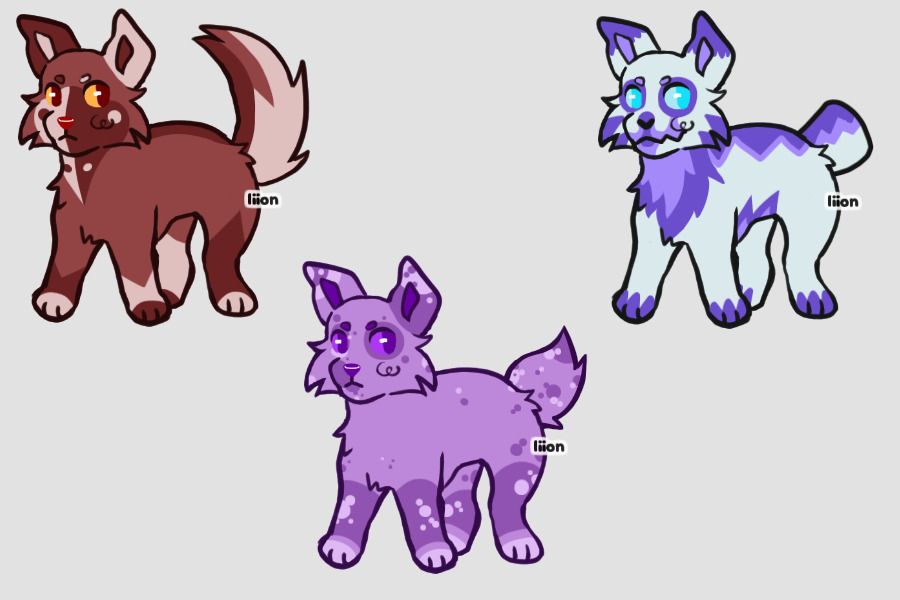 Dawg adopts for tokens