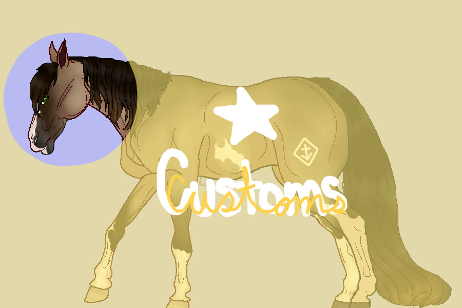 ☙⚓︎𝔻𝕊ℝ ℂ𝕦𝕤𝕥𝕠𝕞𝕤⚓︎❧