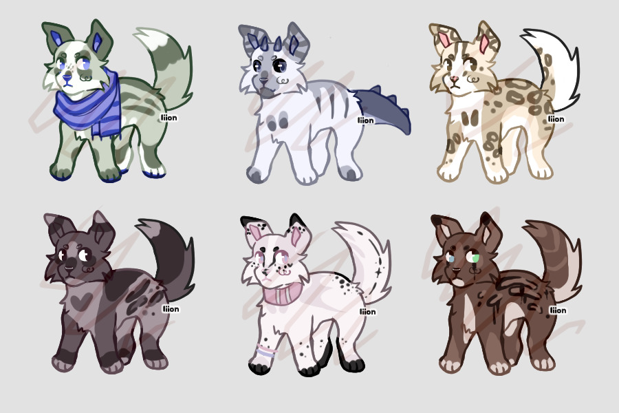 5/6 CANINE ADOPTABLES OPEN :D