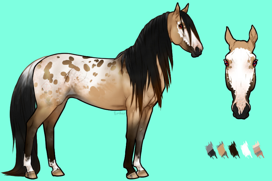 ☙⚓︎ℂ𝕦𝕤𝕥𝕠𝕞 𝕗𝕠𝕣 𝔸𝕔𝕣𝕠𝕟𝕪𝕞𝕞⚓︎❧