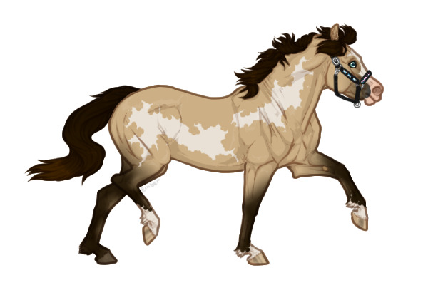 Ferox Welsh Pony #740